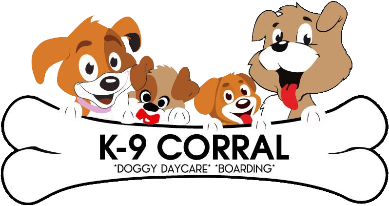 K-9 Corral Your Pets One Stop Shop in Casper, WY